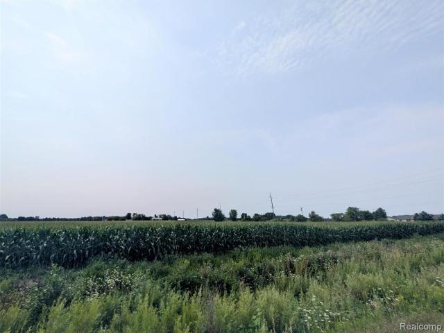 Land for sale in Michigan