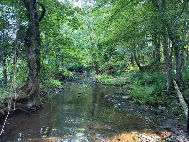 Land for sale in Tennessee