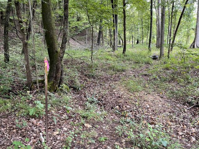 Land for sale in Dover, Middle Tennessee