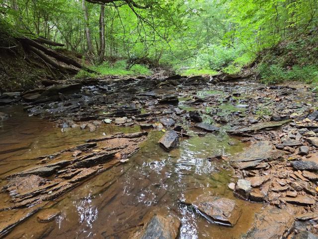 Land for sale in Forsyth, Georgia