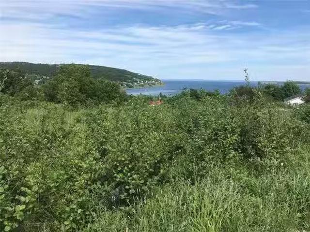 House for sale in Spaniard's Bay, Newfoundland And Labrador