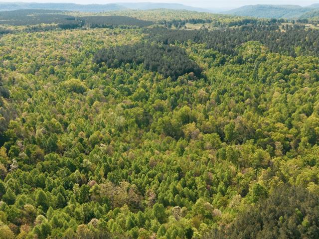 Farm for sale in Tennessee