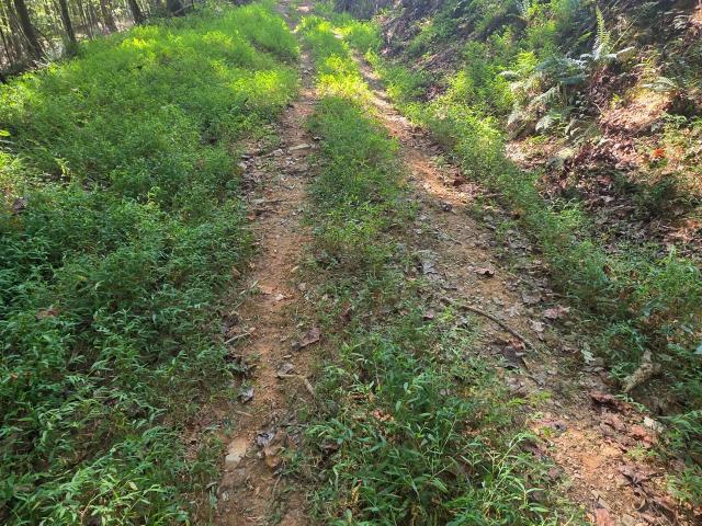 Land for sale in Rockmart, Paulding County