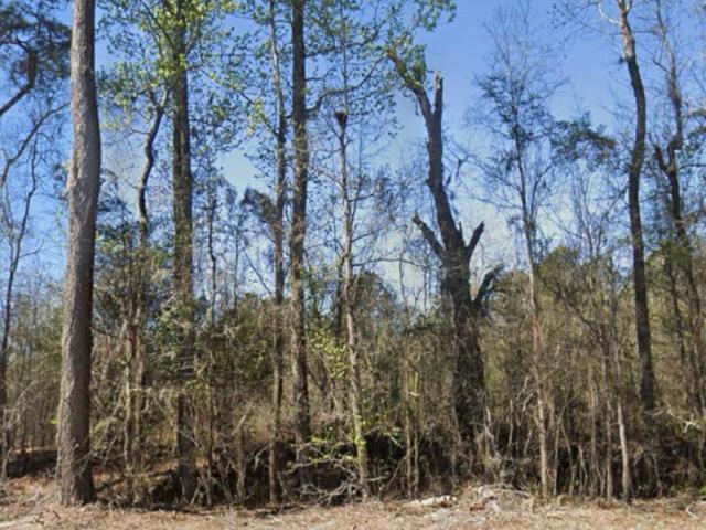 Land for sale in Bamberg