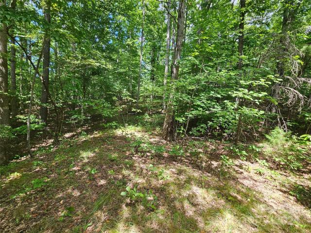 Land for sale in Rutherford, North Carolina