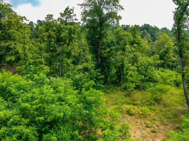 Land for sale in Crown City, Ohio