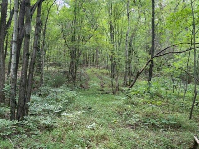 Farm for sale in Turkey Track, Lawrenceburg
