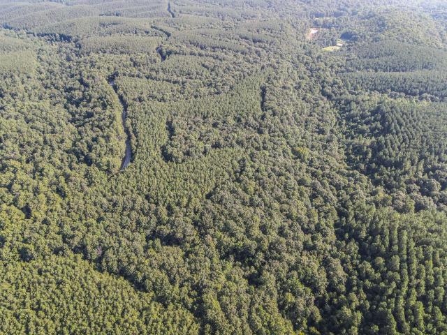 Land for sale in Tennessee