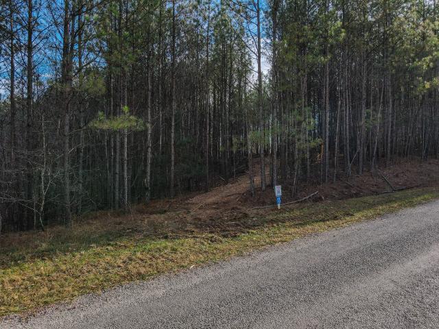 Land for sale in Tennessee