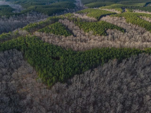Land for sale in Tennessee
