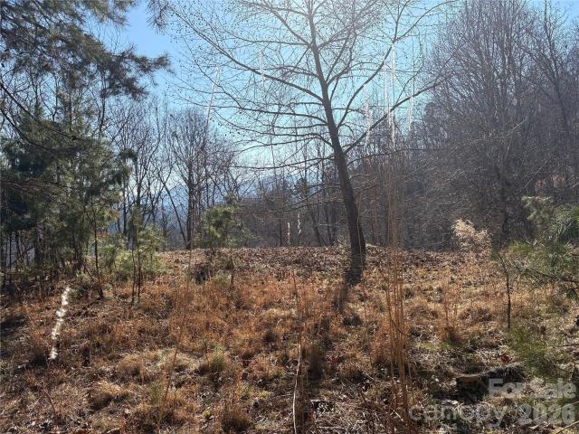 Property for sale in Bryson City, North Carolina