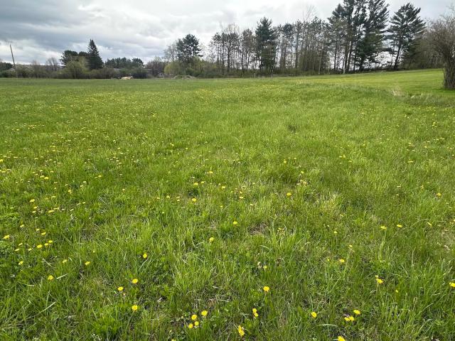 Land for sale in New Hampshire