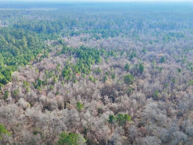 Land for sale in Ark