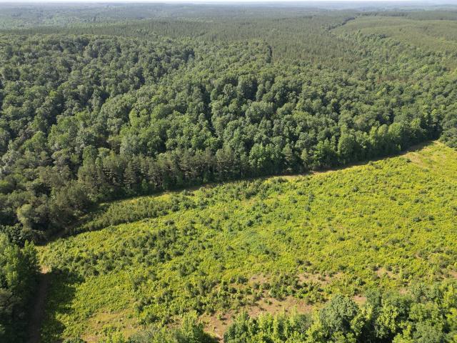 Commercial Land for sale in Centerville