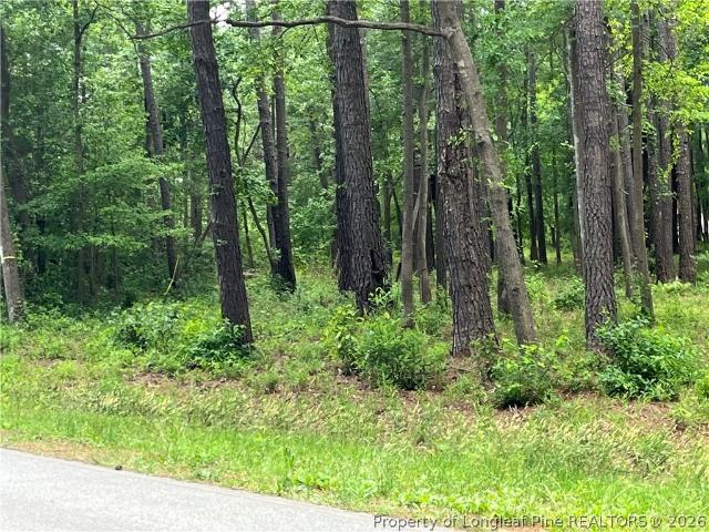 Land for sale in Maxton, North Carolina