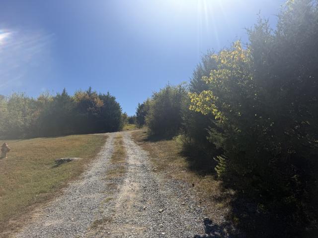 Land for sale in Woodbury, Middle Tennessee