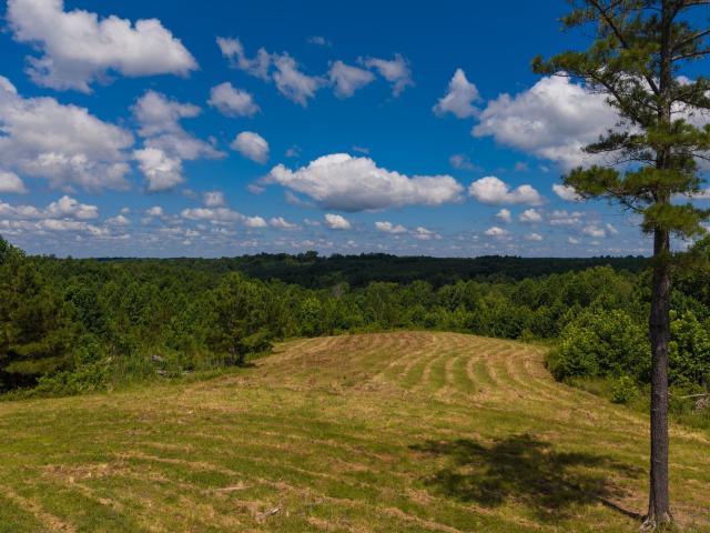 Land for sale in Tennessee