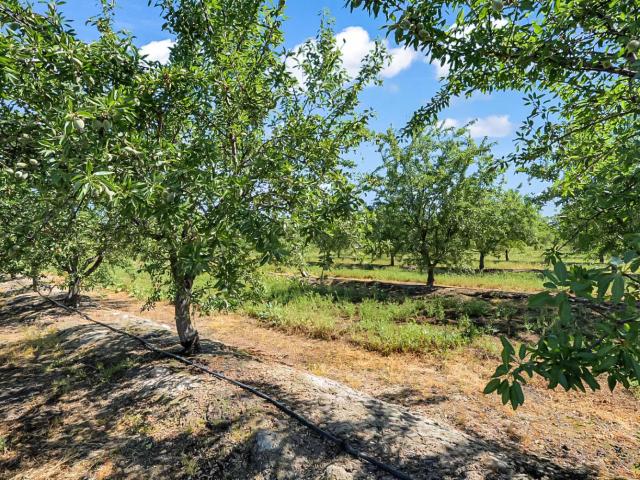 Land for sale in California