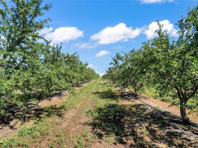Land for sale in California