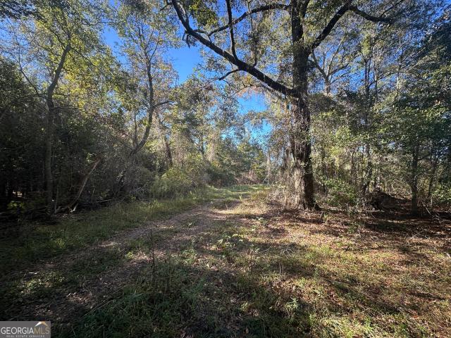 Land for sale in Screven, Georgia