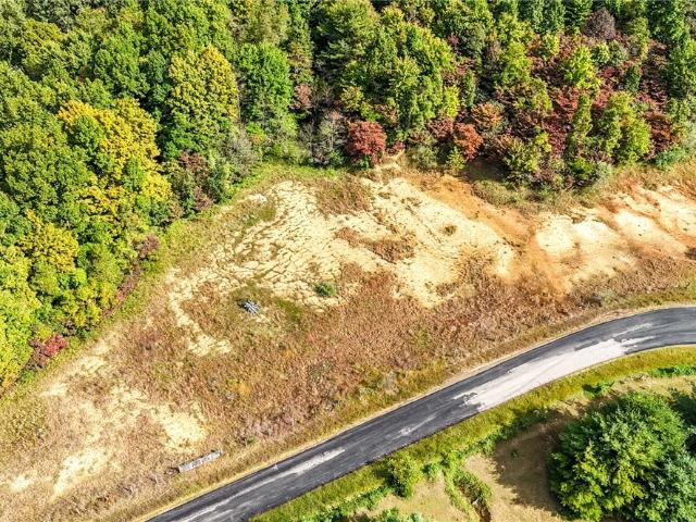 Land for sale in Chesterhill, Morgan County