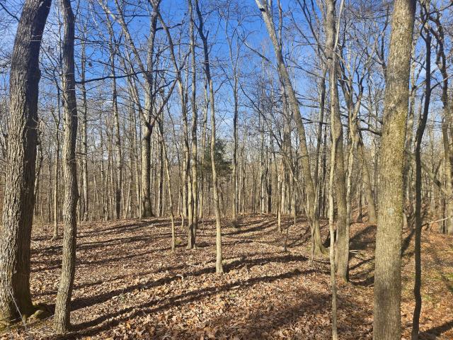 Land for sale in Tennessee
