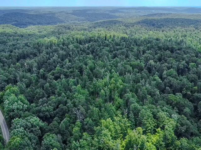 Land for sale in Tennessee