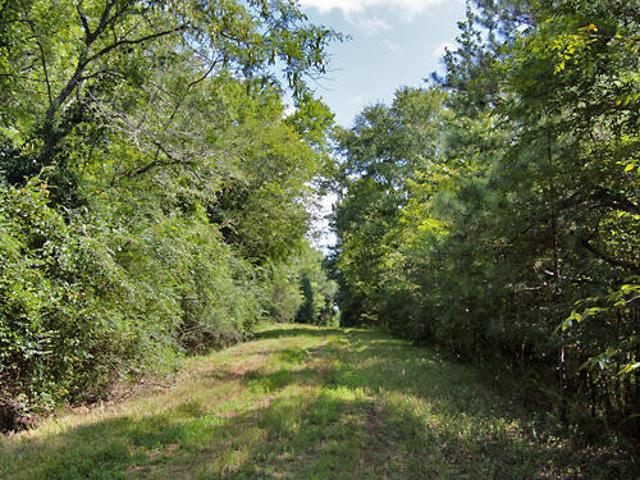 Land for sale in Granville, North Carolina