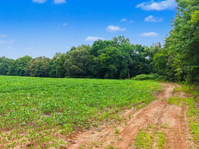 Land for sale in Tennessee