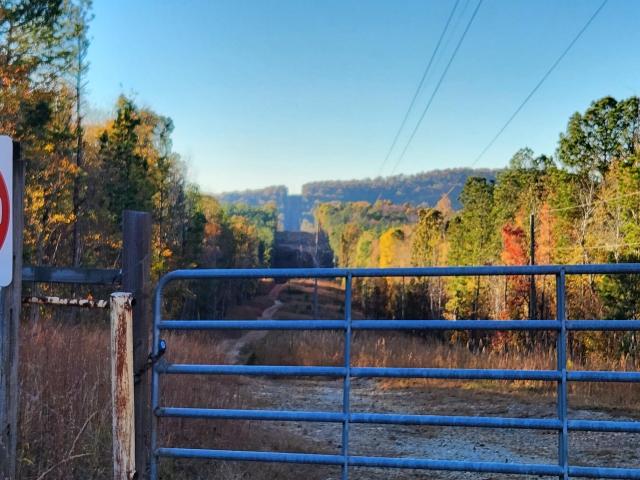 Land for sale in Haralson, Georgia
