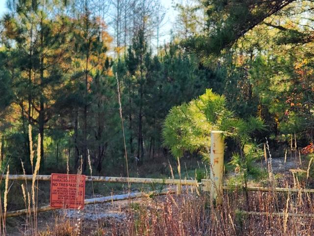 Land for sale in Haralson, Georgia