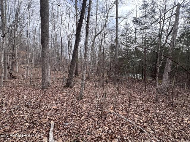 Land for sale in Tennessee