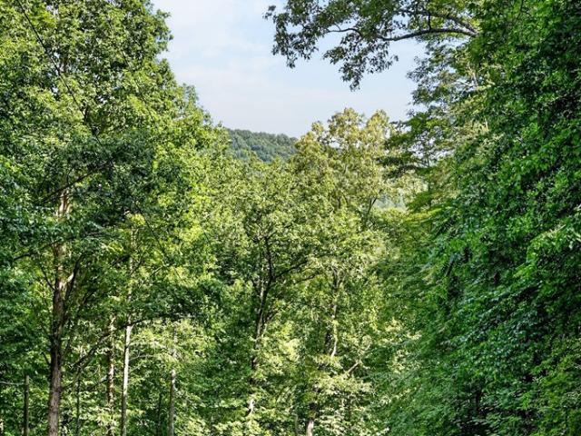 Land for sale in Tennessee