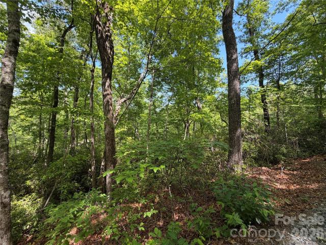 Land for sale in Rutherford, North Carolina