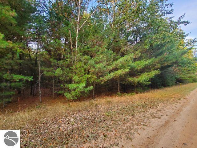 Land for sale in Alger, Michigan