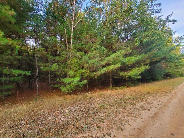 Land for sale in Alger, Michigan