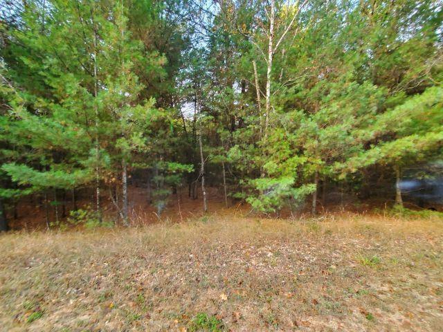 Land for sale in Alger, Michigan