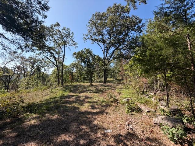 Land for sale in Strickler, West Fork