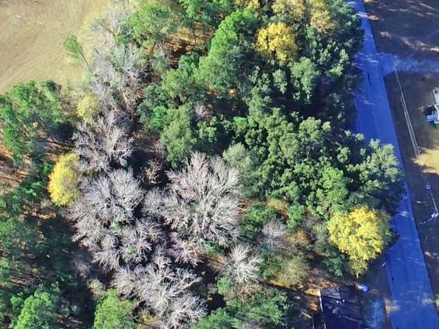 Land for sale in Saint Matthews, South Carolina