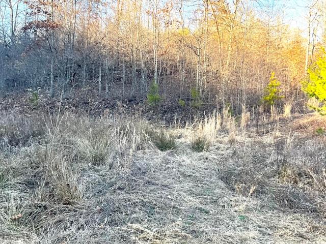 Land for sale in Manchester, Kentucky