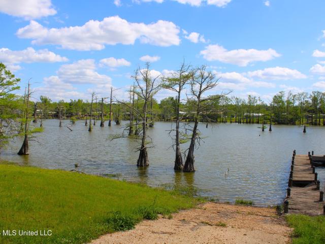 Land for sale in Tchula, Mississippi
