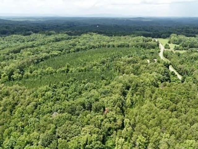 Land for sale in Stokes, North Carolina