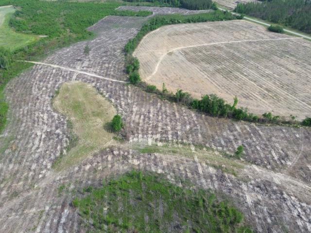 Land for sale in Midville, Georgia