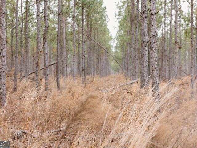 Land for sale in Midville, Burke County