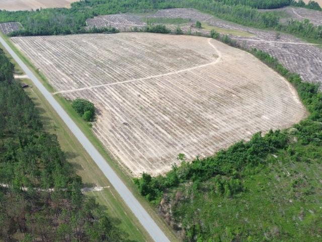 Land for sale in Midville, Georgia