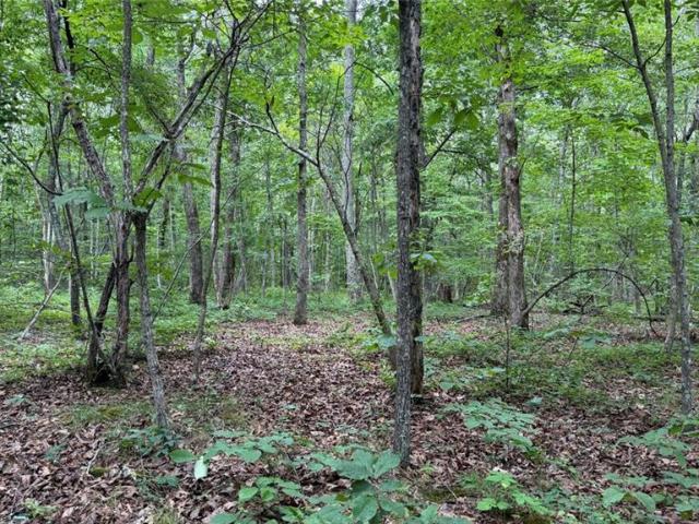 Land for sale in Kingston, Georgia