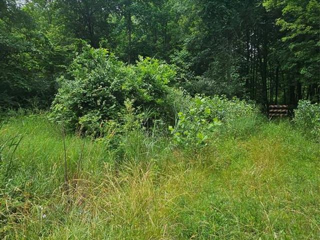 Land for sale in Willis