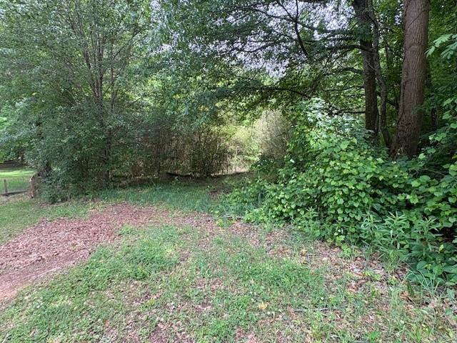 Land for sale in Cobb, Georgia