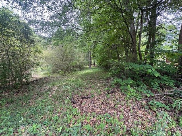 Land for sale in Cobb, Georgia