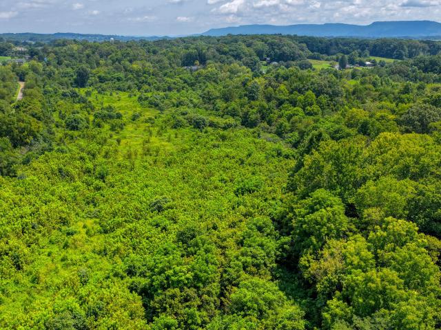 Land for sale in Tennessee